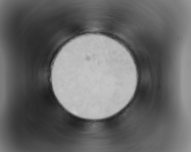 X0000093221314200710101337