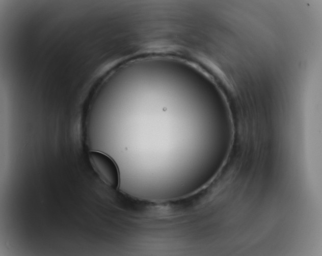 X0000093221315200710101337