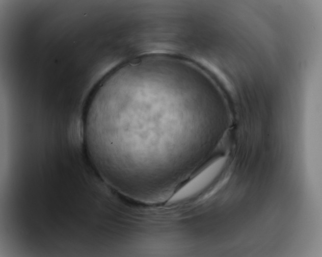 X0000093221317200710101337