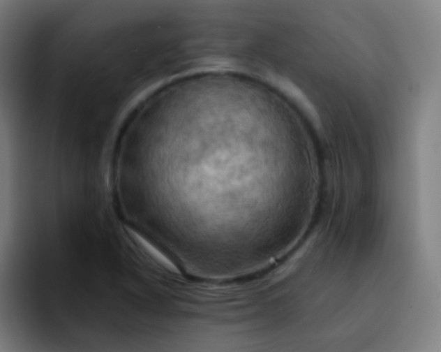 X0000093221318200710101337