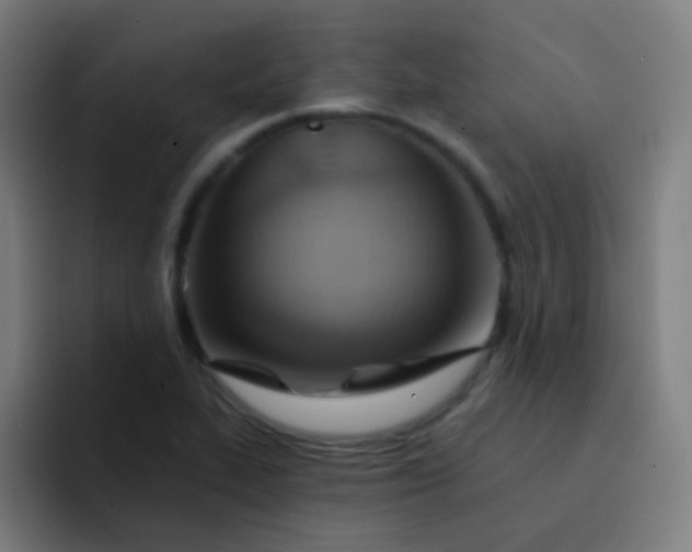 X0000093221319200710101337