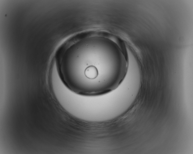 X0000093221320200710101337