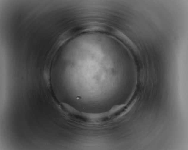 X0000093221321200710101337