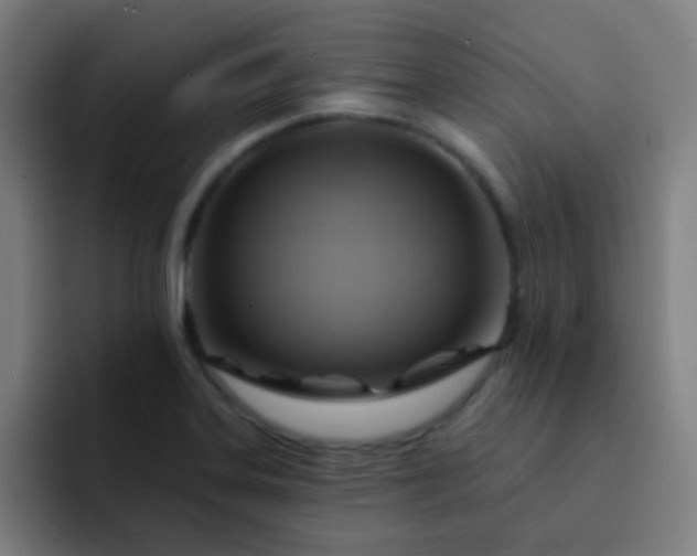 X0000093221323200710101337