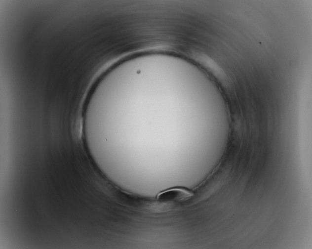 X0000093221324200710101338