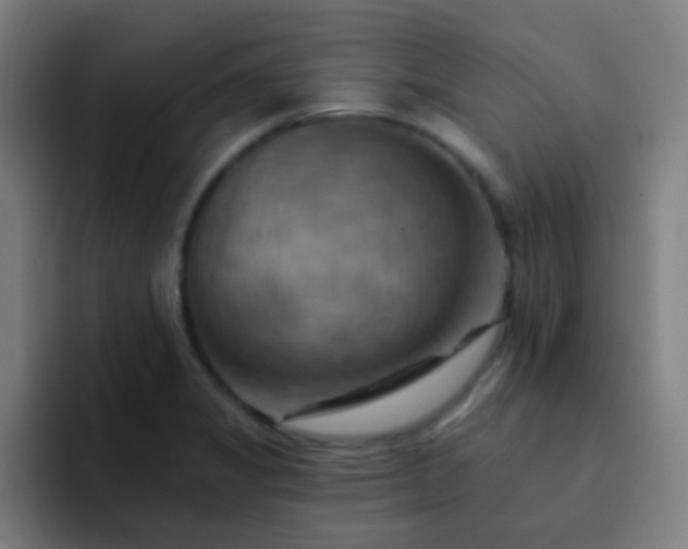 X0000093221325200710101338