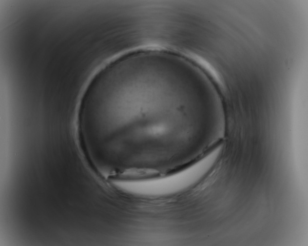 X0000093221327200710101338