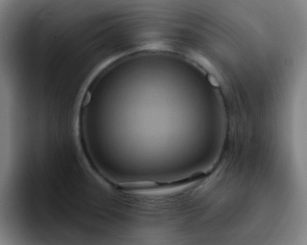 X0000093221331200710101338