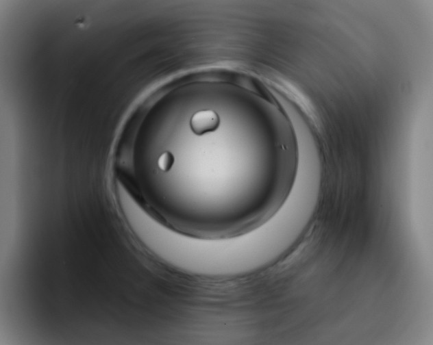 X0000093221332200710101338