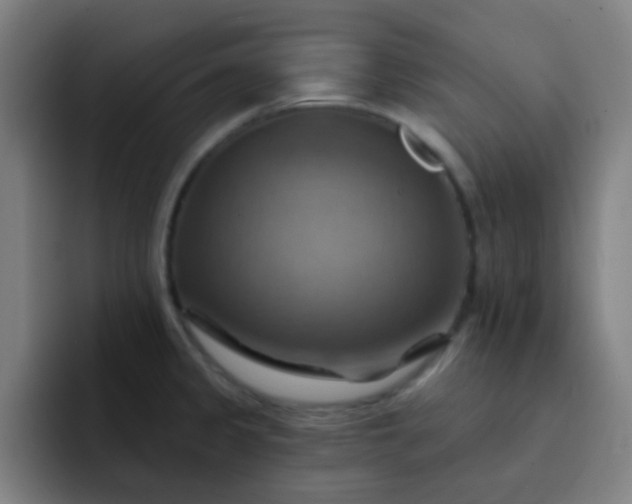 X0000093221333200710101338