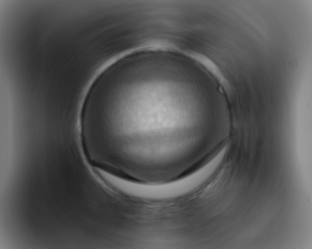 X0000093221335200710101338