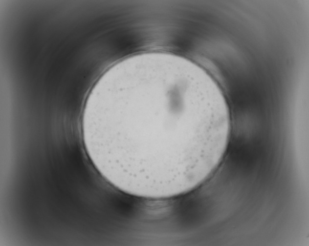 X0000093221338200710101338