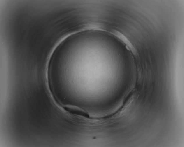 X0000093221339200710101338