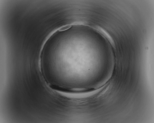 X0000093221340200710101338