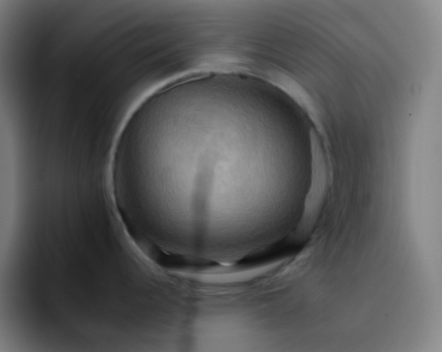 X0000093221344200710101338