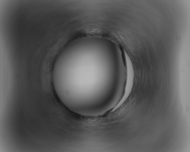 X0000093221345200710101337