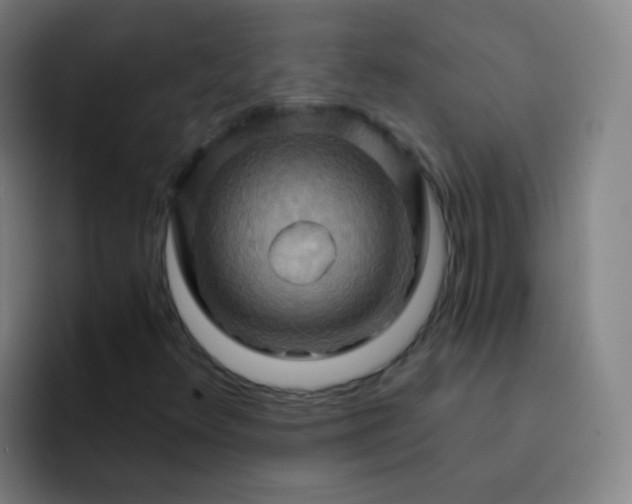 X0000093221348200710101337