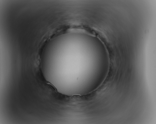 X0000093221349200710101337