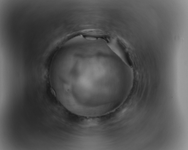 X0000093221351200710101337