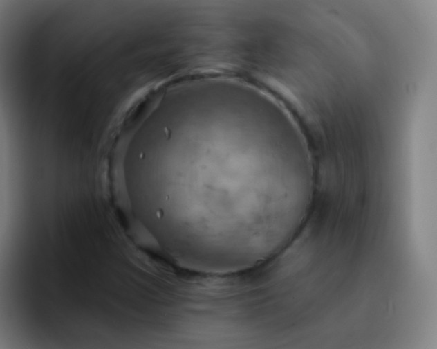 X0000093221355200710101337