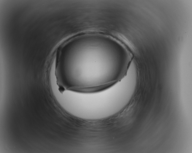 X0000093221356200710101337