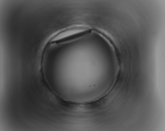 X0000093221359200710101337