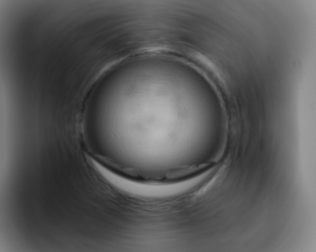 X0000093221361200710101337