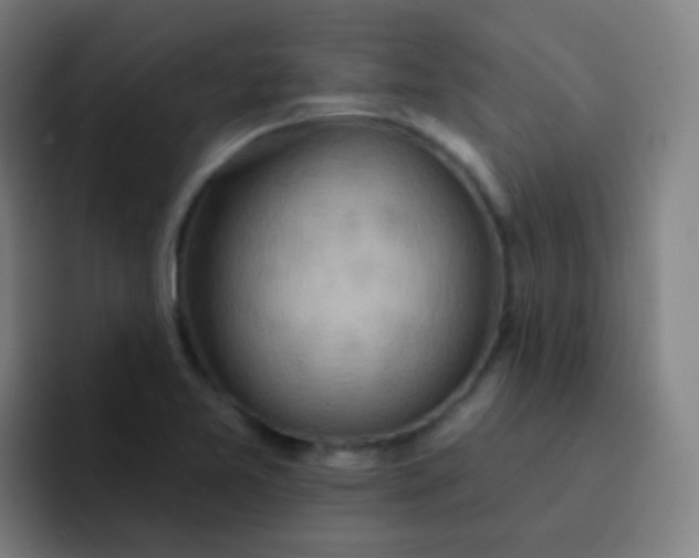 X0000093221365200710101337