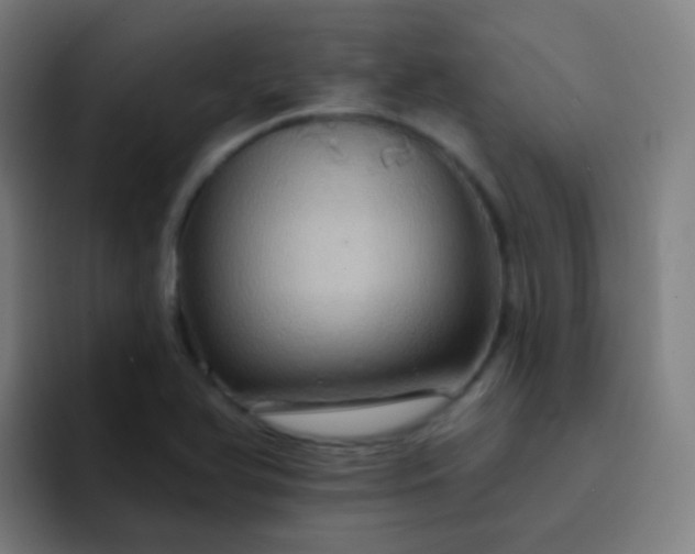 X0000093221366200710101337