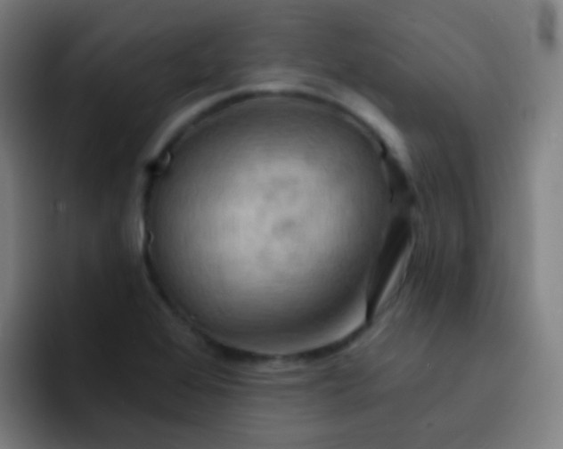 X0000093221368200710101337