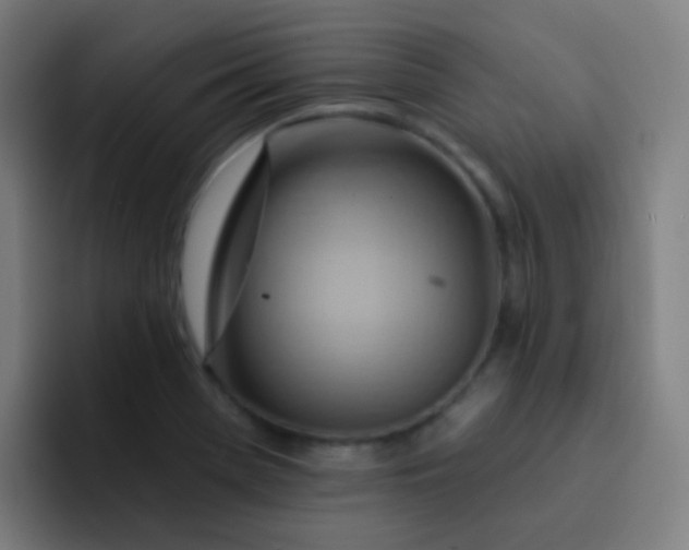 X0000093221369200710101337