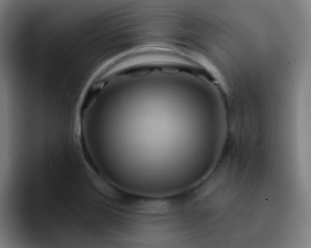 X0000093221372200710101337