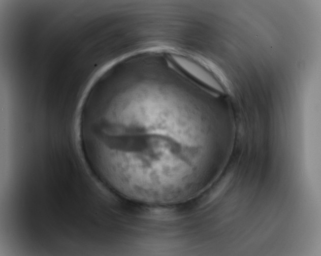 X0000093221375200710101337