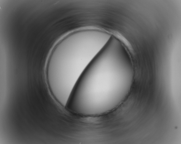 X0000093221380200710101337