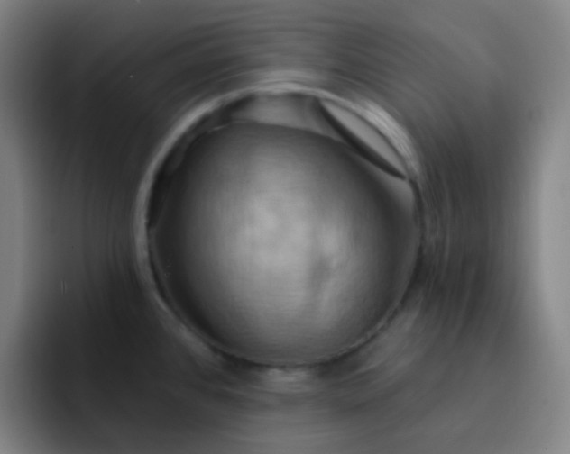 X0000093221384200710101337