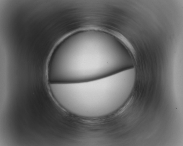 X0000093221388200710101337