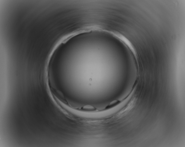 X0000093221389200710101337