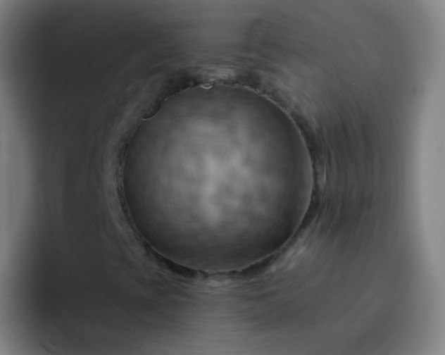 X0000093221393200710101336