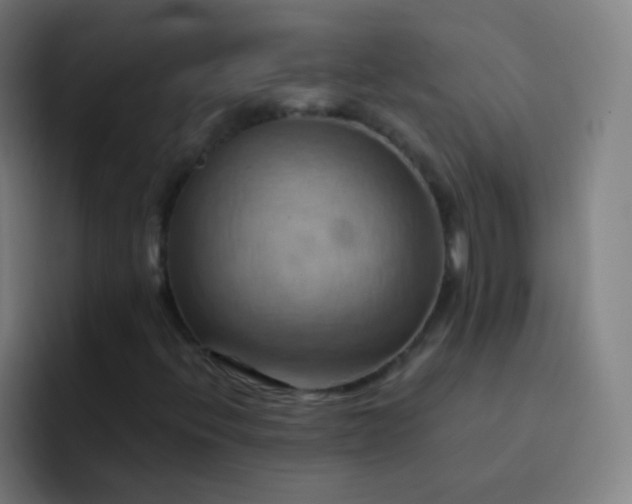 X0000093221396200710101336