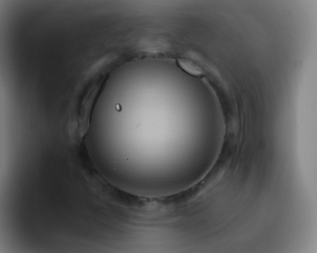 X0000093221398200710101336