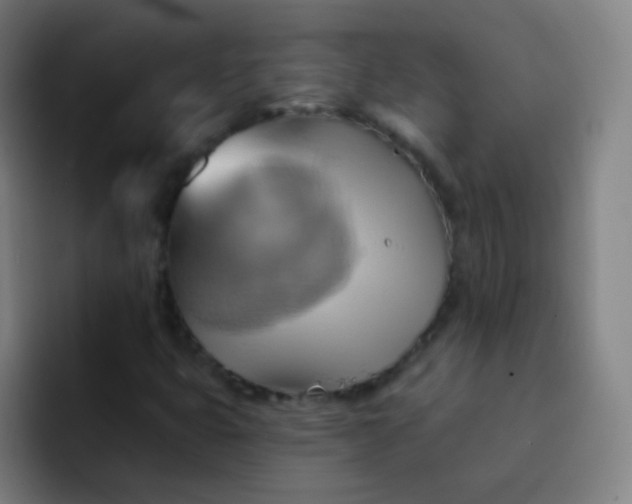 X0000093221399200710101336