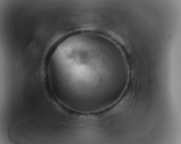 X0000093221400200710101336