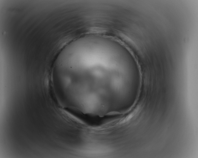 X0000093221401200710101336