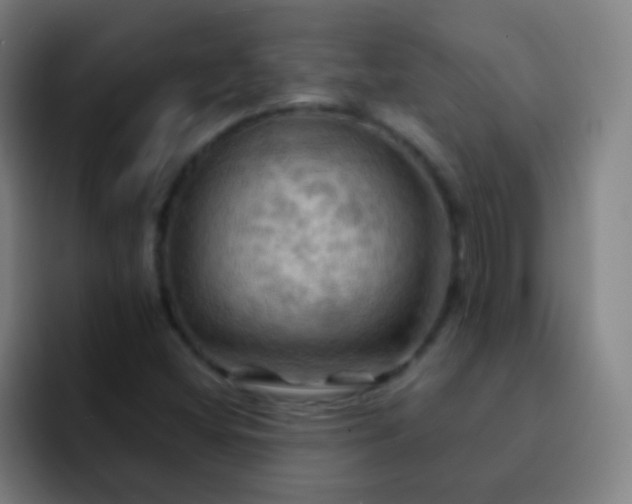 X0000093221404200710101336