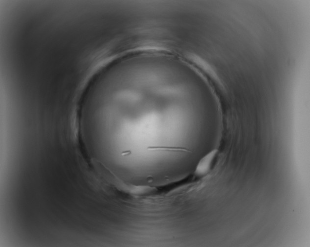 X0000093221408200710101336