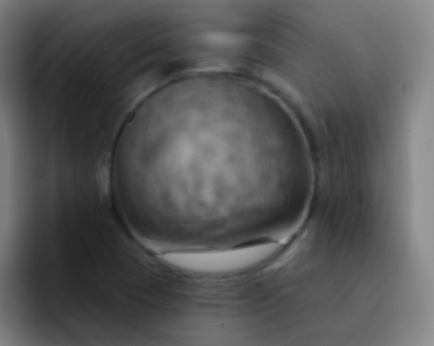 X0000093221409200710101336