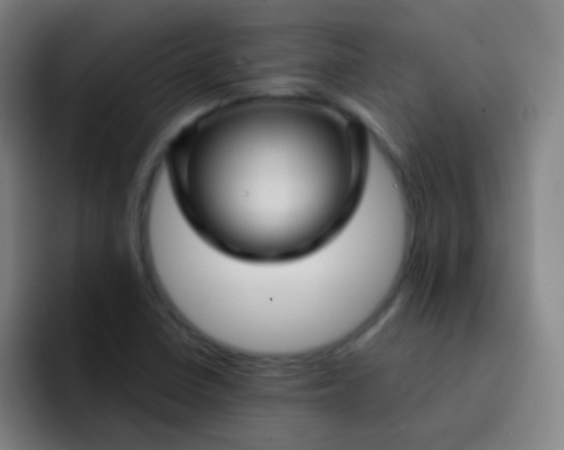 X0000093221410200710101336