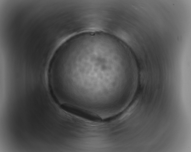 X0000093221412200710101336