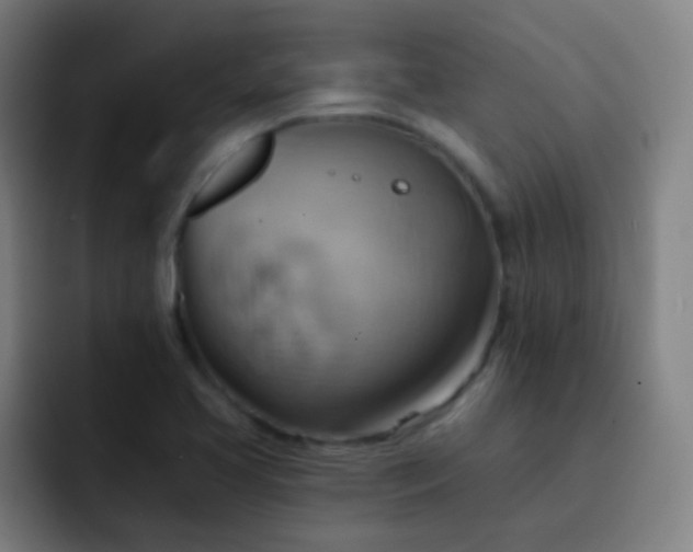 X0000093221413200710101336