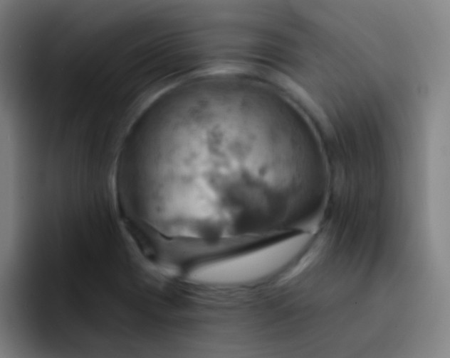 X0000093221417200710101336